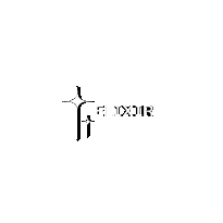 Elixir Clothing 